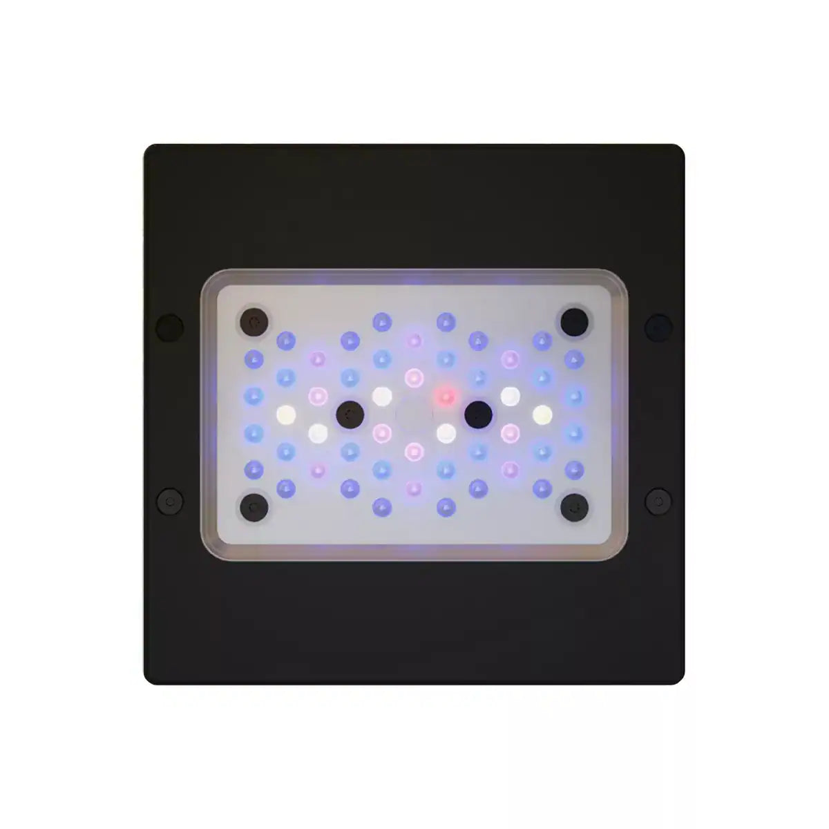 Radion Gen 6 XR15 Blue LED - Ecotech Marine