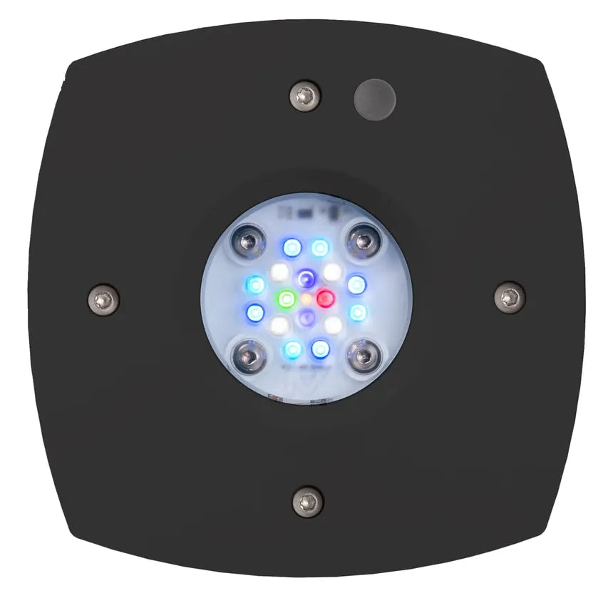 AI Prime 16HD Reef Aquarium LED, Black
