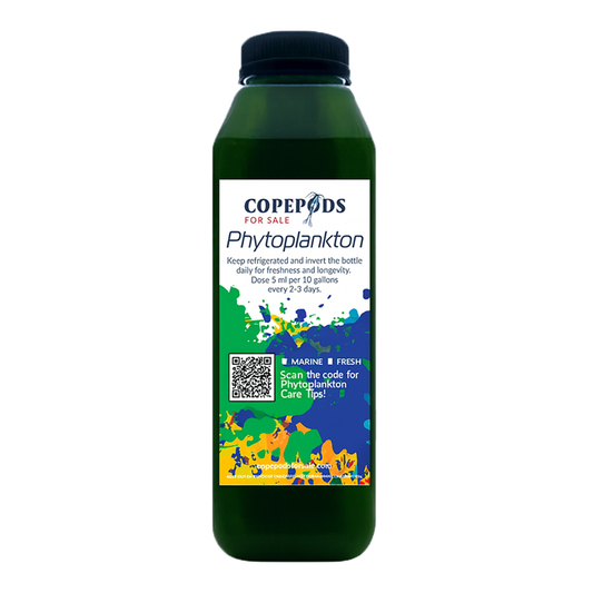 Premium 6 Species Phytoplankton (16 ounce -32 ounce bottle)
