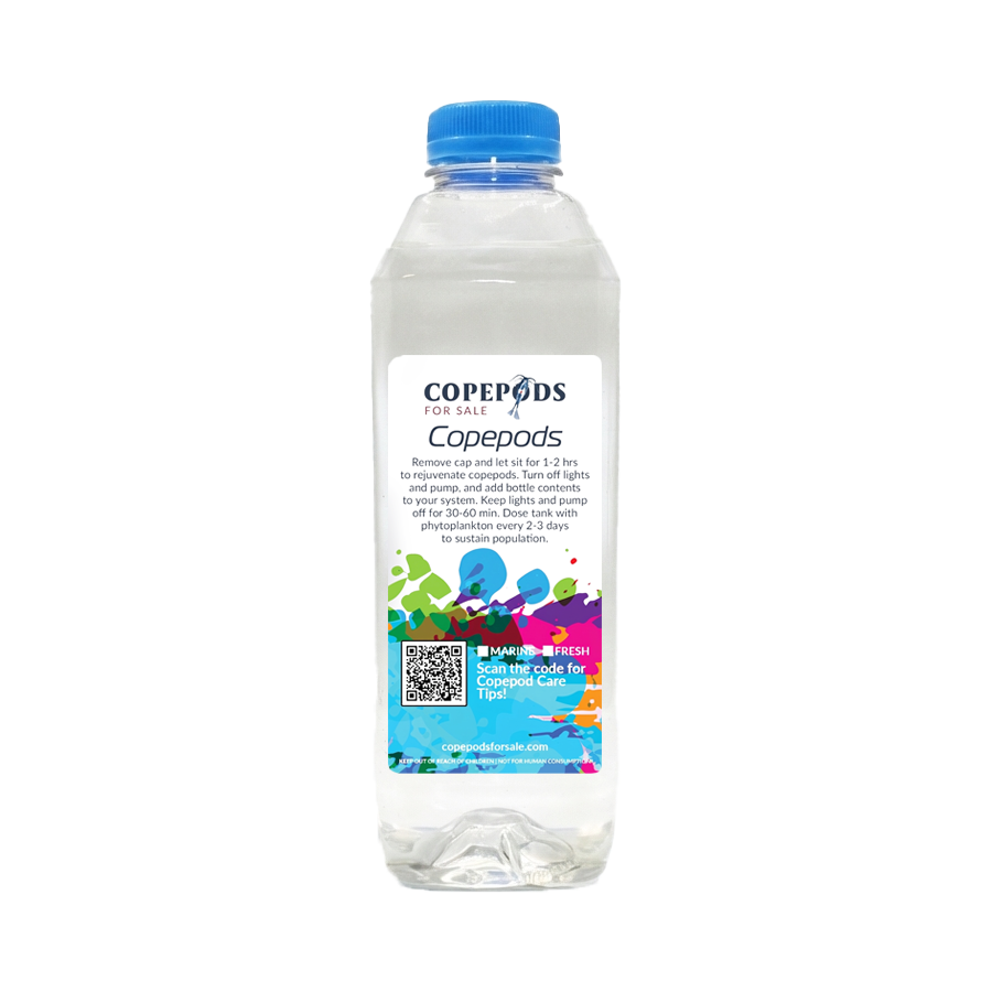 32oz Copepods – 5 Species Premium Blend