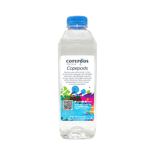 32oz Copepods – 5 Species Premium Blend
