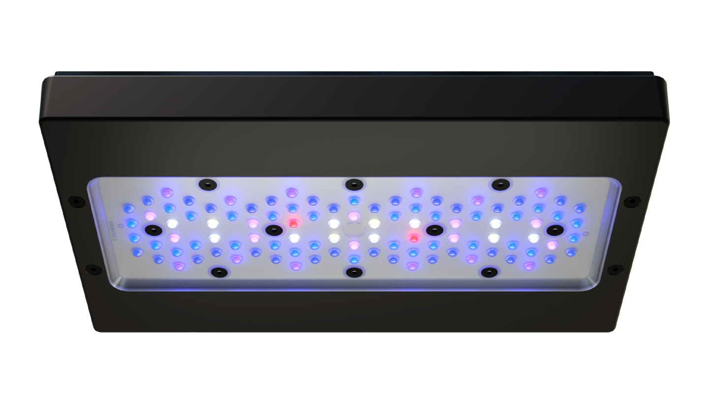 Radion Gen 6 XR30 Blue LED - Ecotech Marine